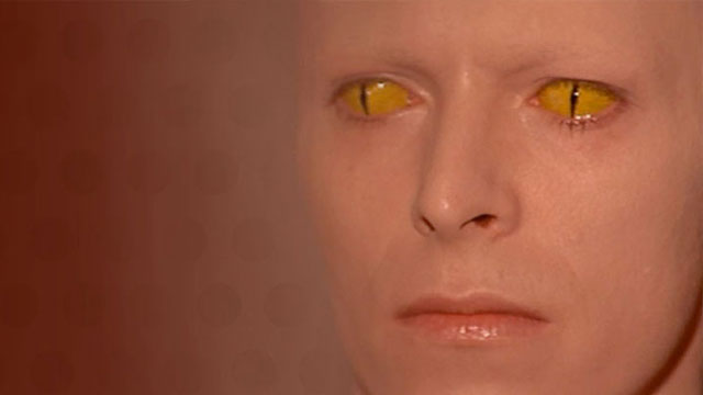 In search of Apollo Eyes